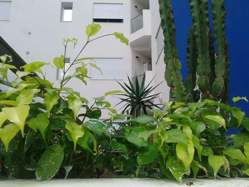 Le Lagon De Hammamet Phòng bức ảnh